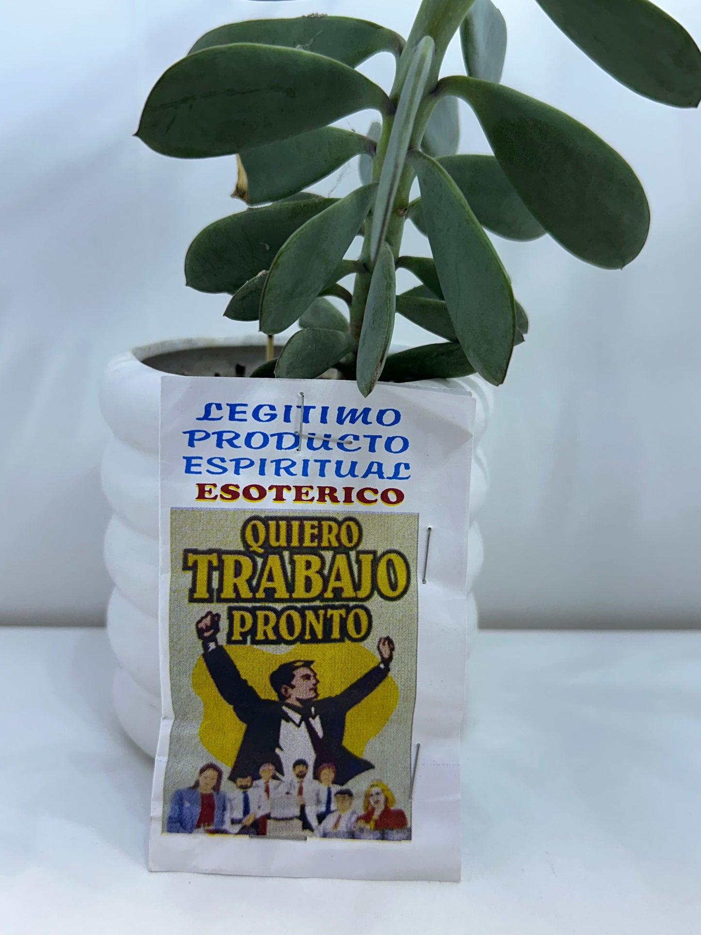 Polvo Quiero trabajo pronto