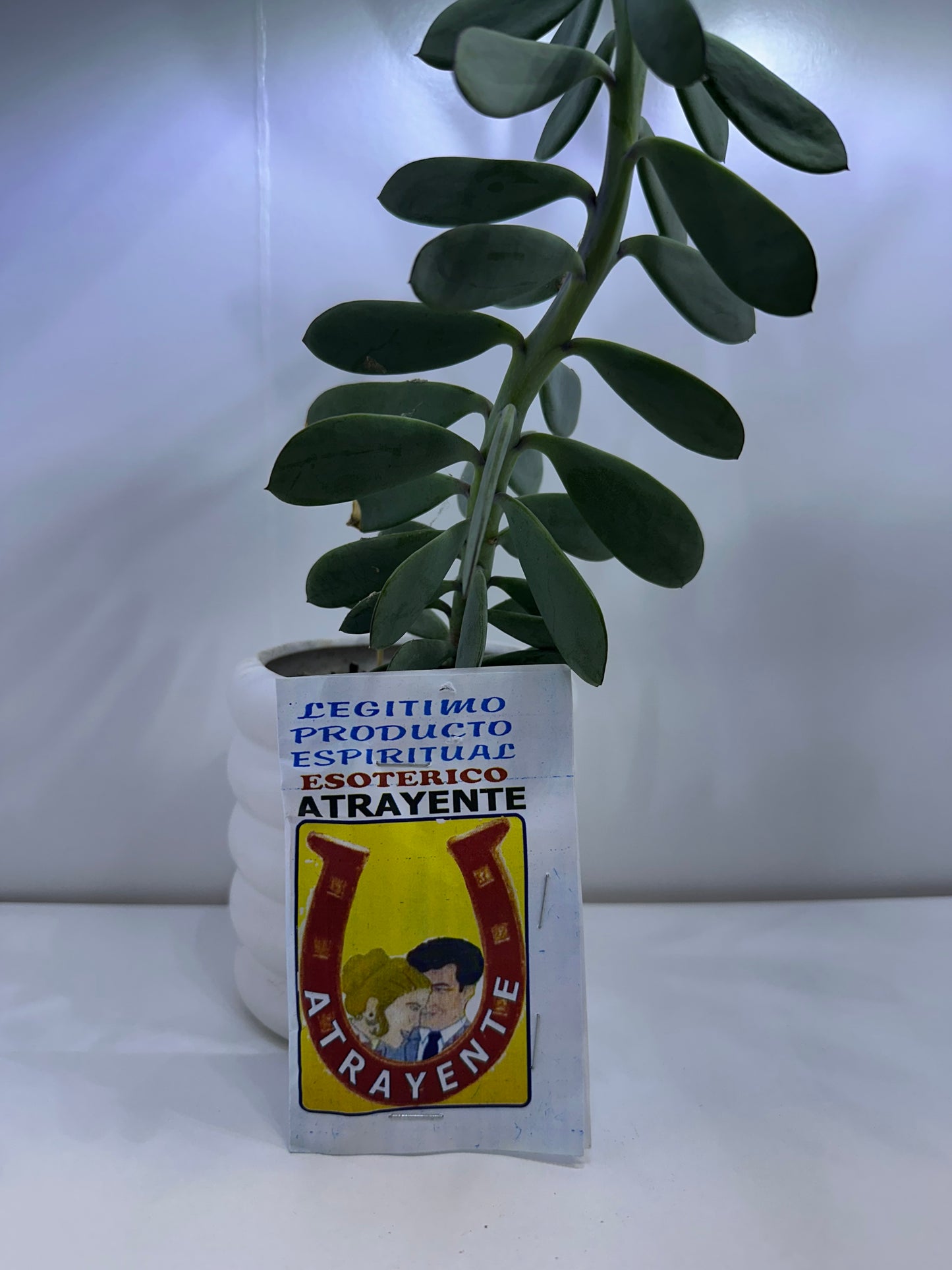 Polvo Atrayente