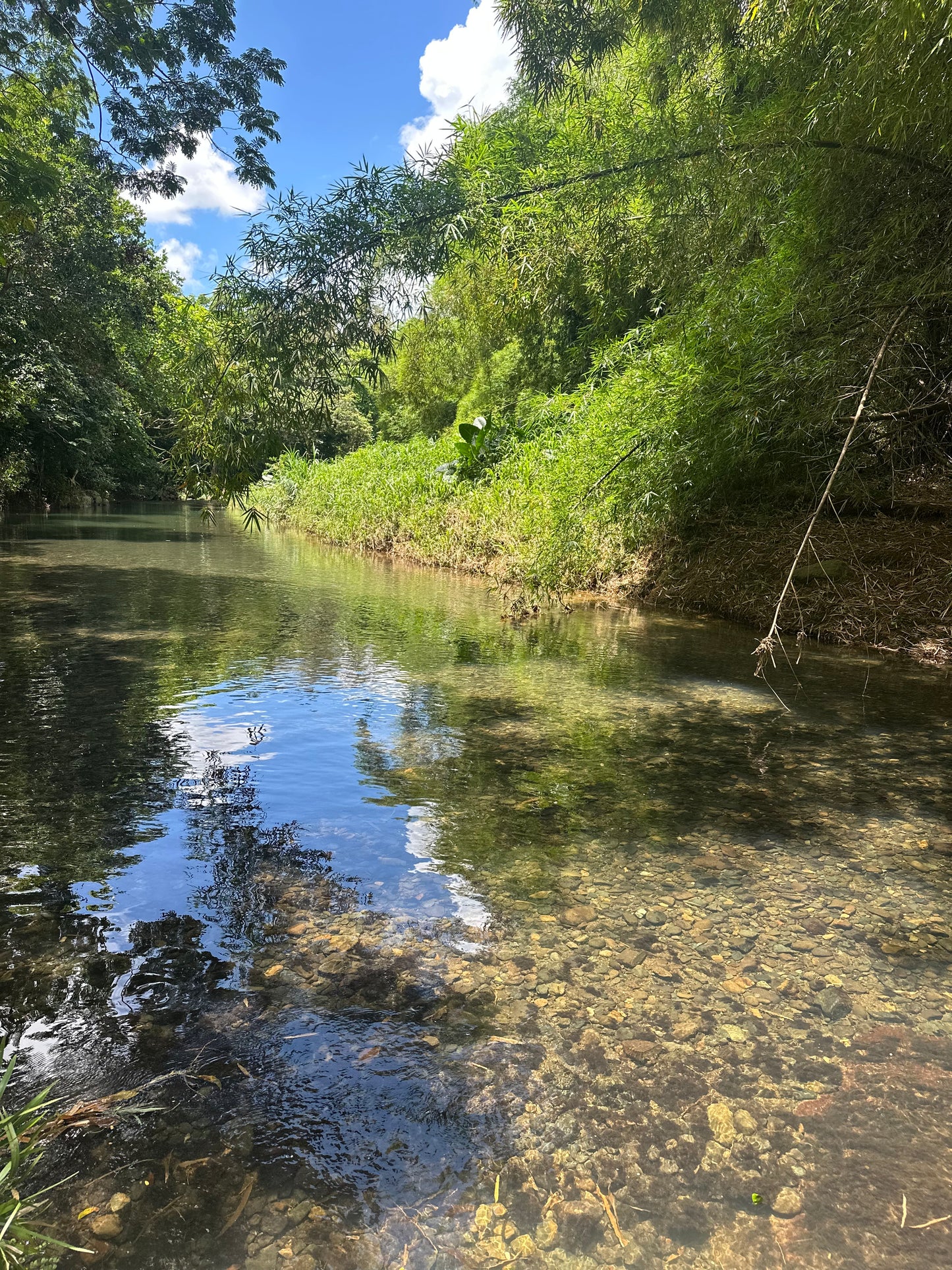 Trabajo espiritual