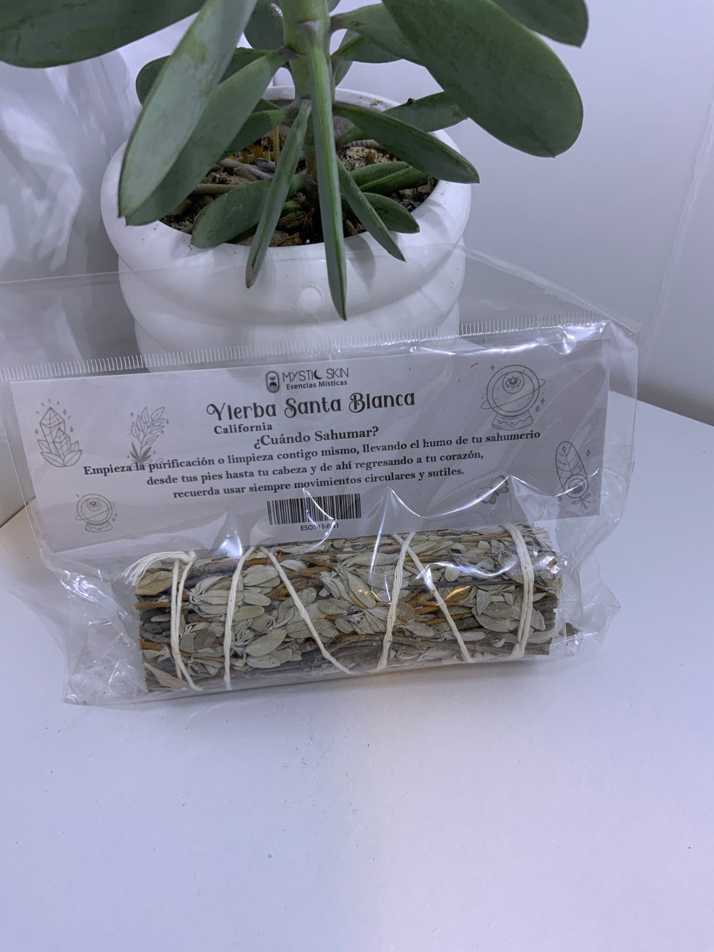 Yerba Santa Blanca