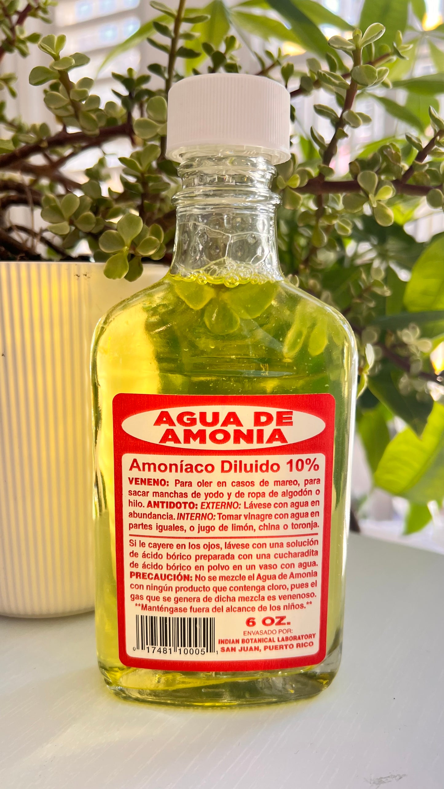 Agua de amonia