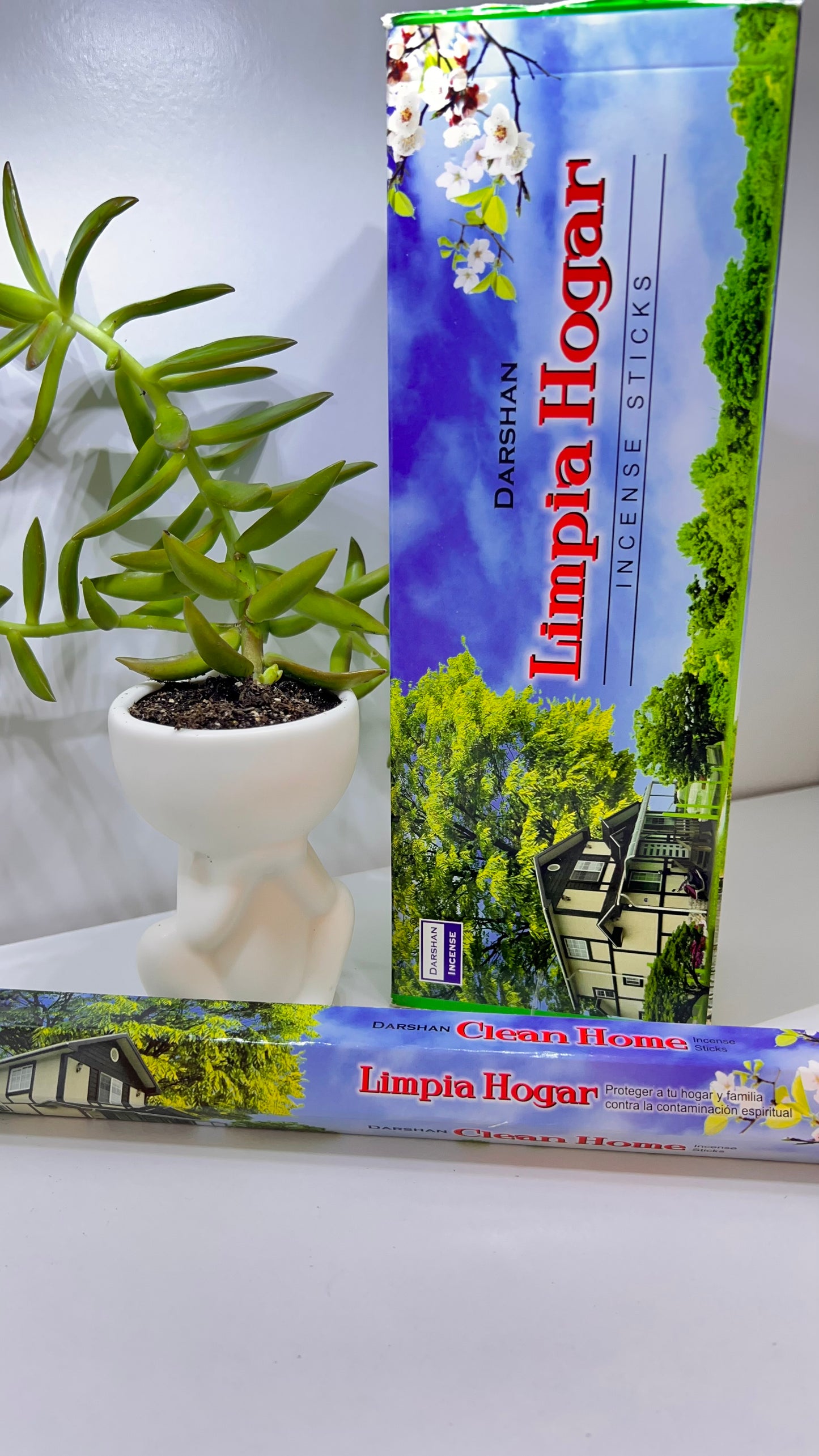 Incienso Limpia Hogar