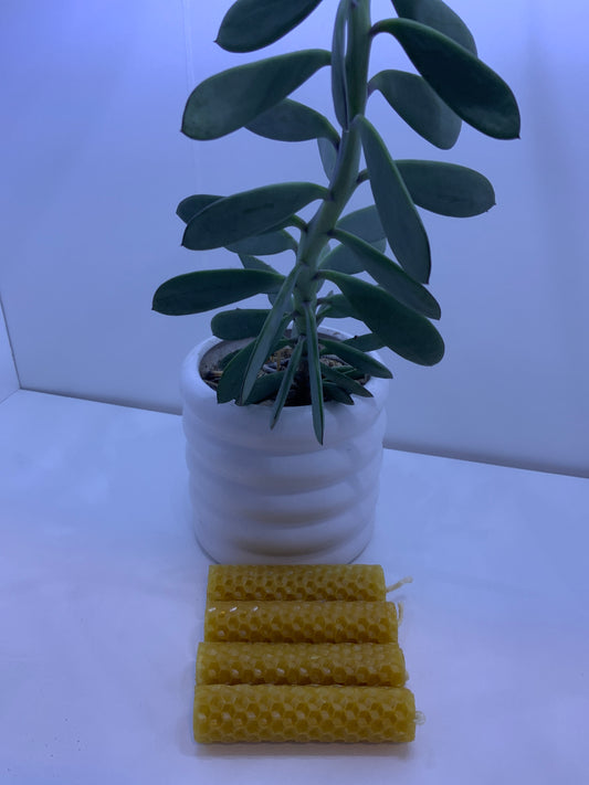 Vela panal enrrollada