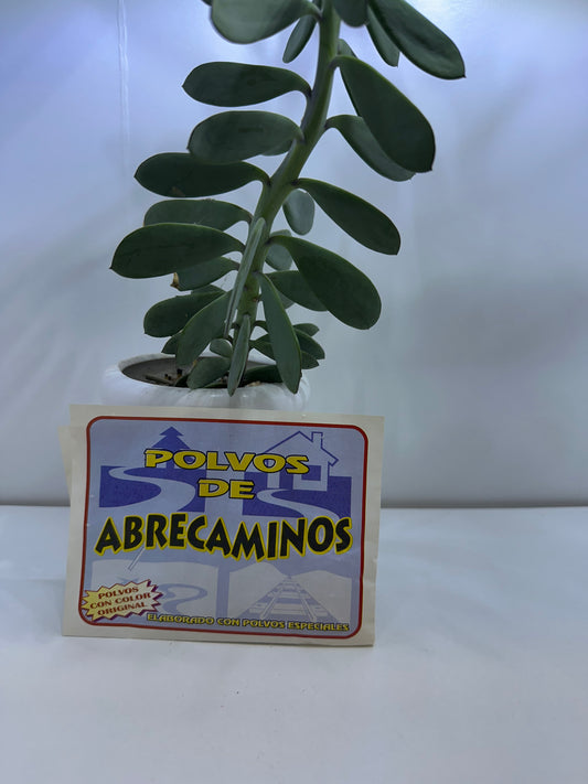 Polvo Abrecaminos