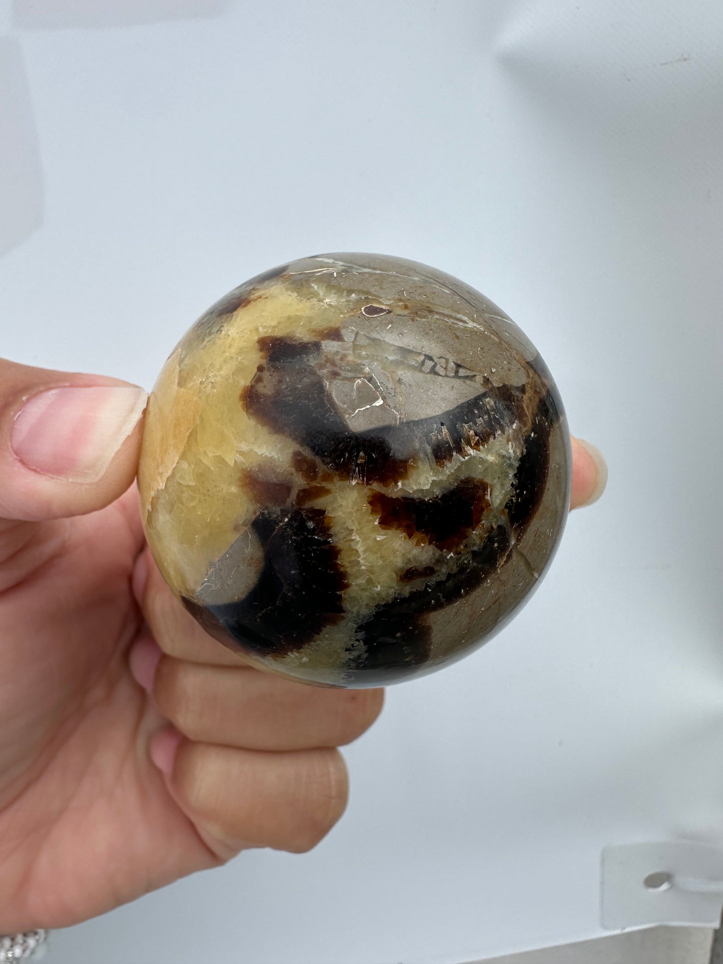 Septarian esfera