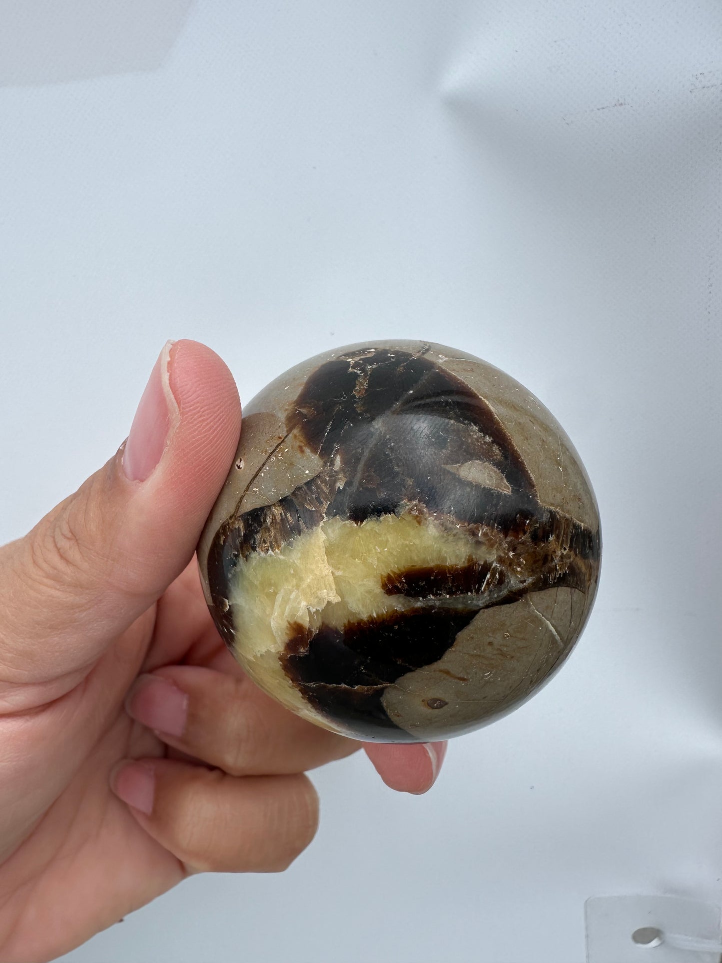 Septarian esfera