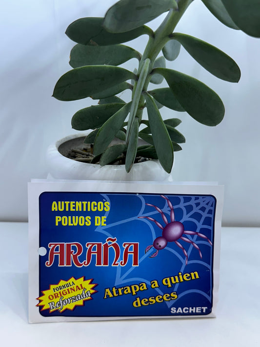 Polvo Araña