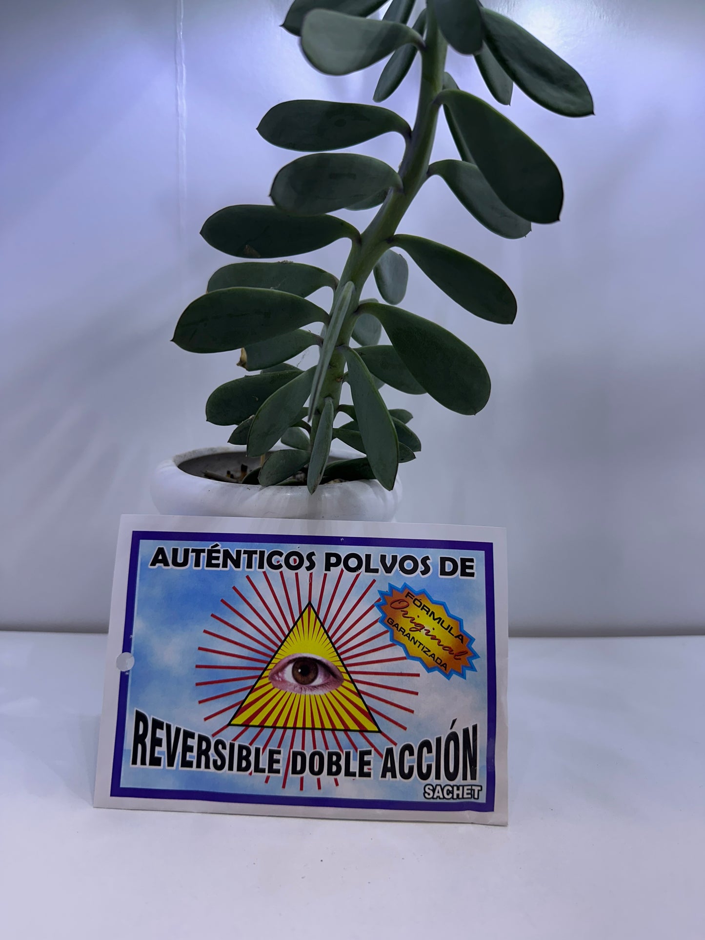 Polvo Reversible Doble Acción