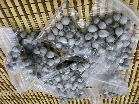 Camándula o lágrima de San Pedro