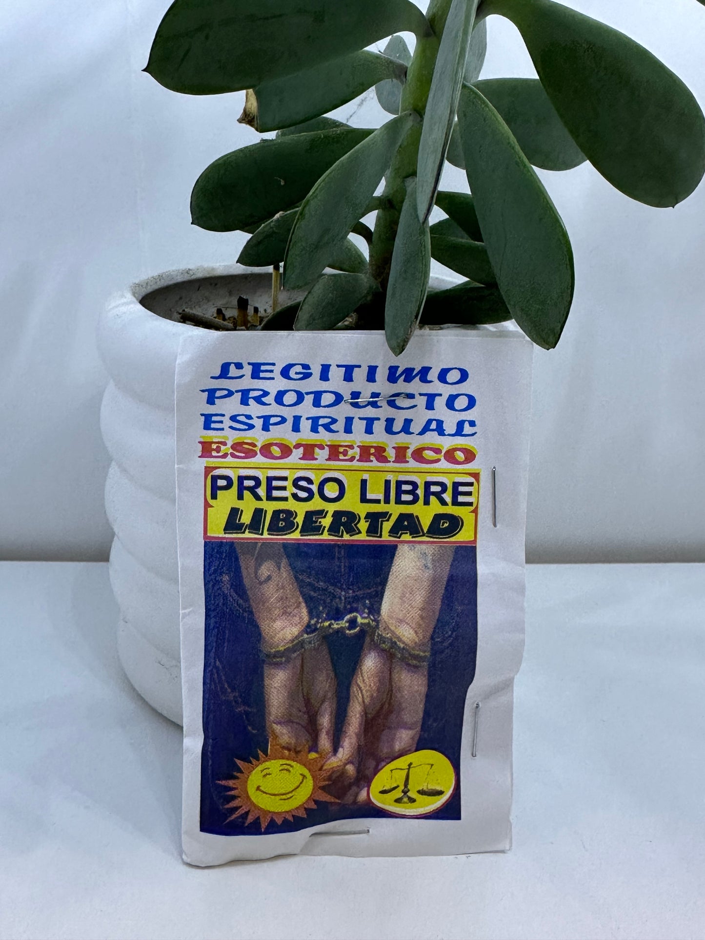 Polvo Preso Libertad Libre