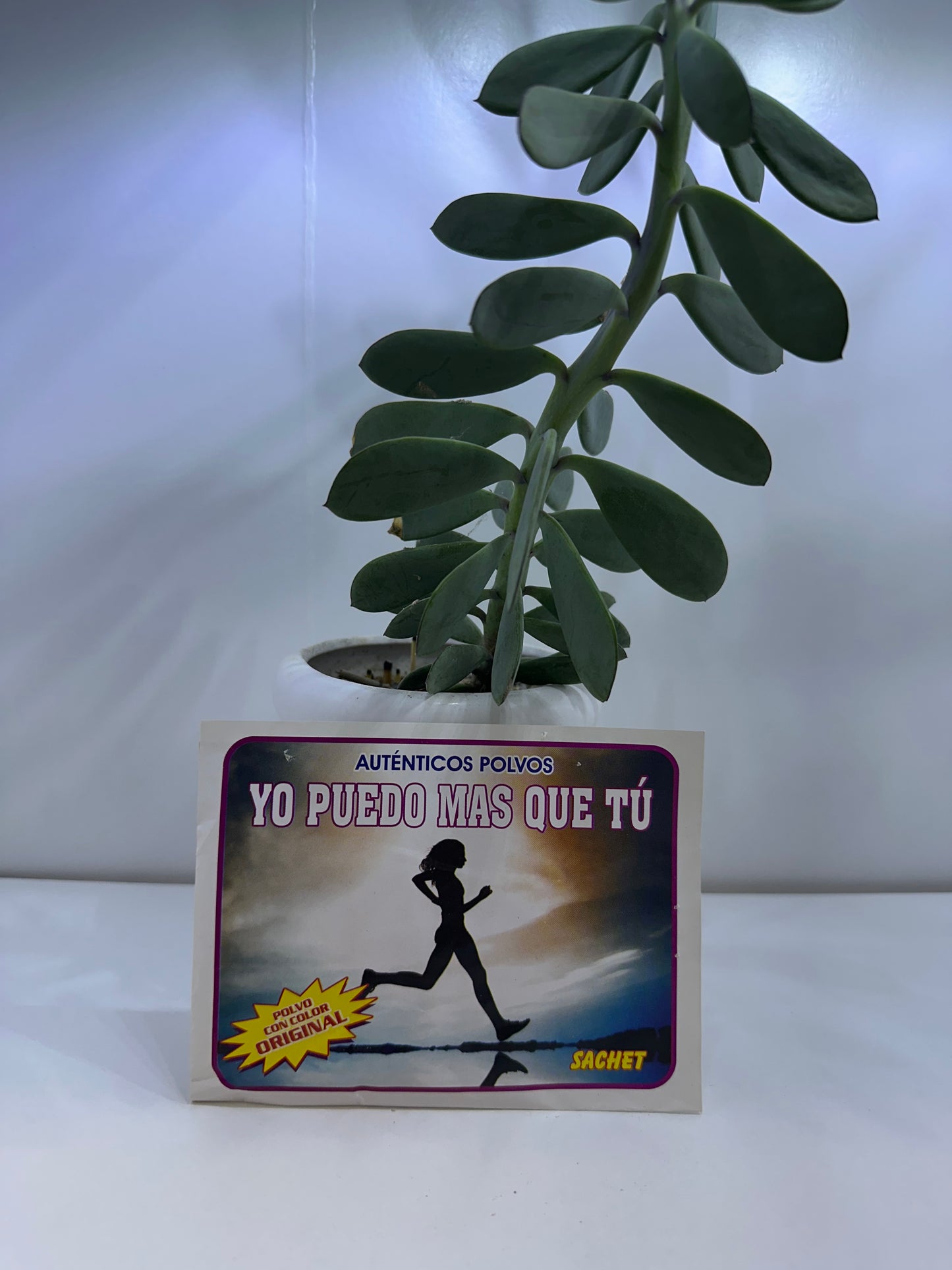 Polvo Yo puedo más que tú