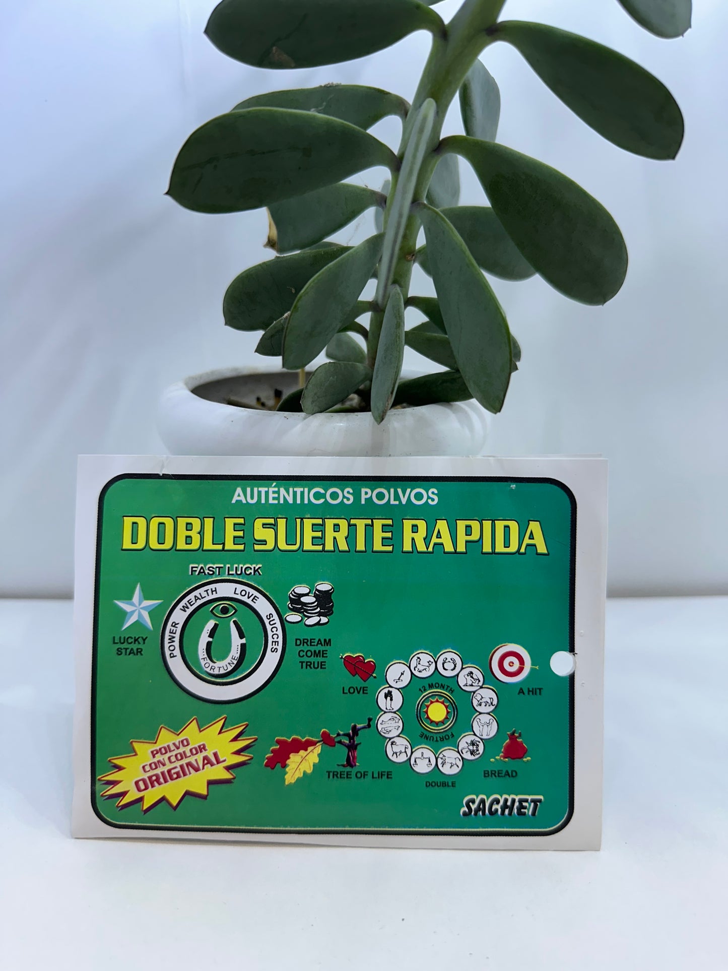 Polvo Doble Suerte Rápida