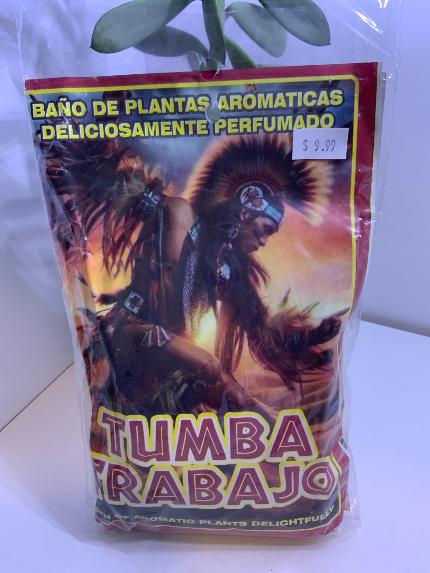 Baño Tumba Trabajo