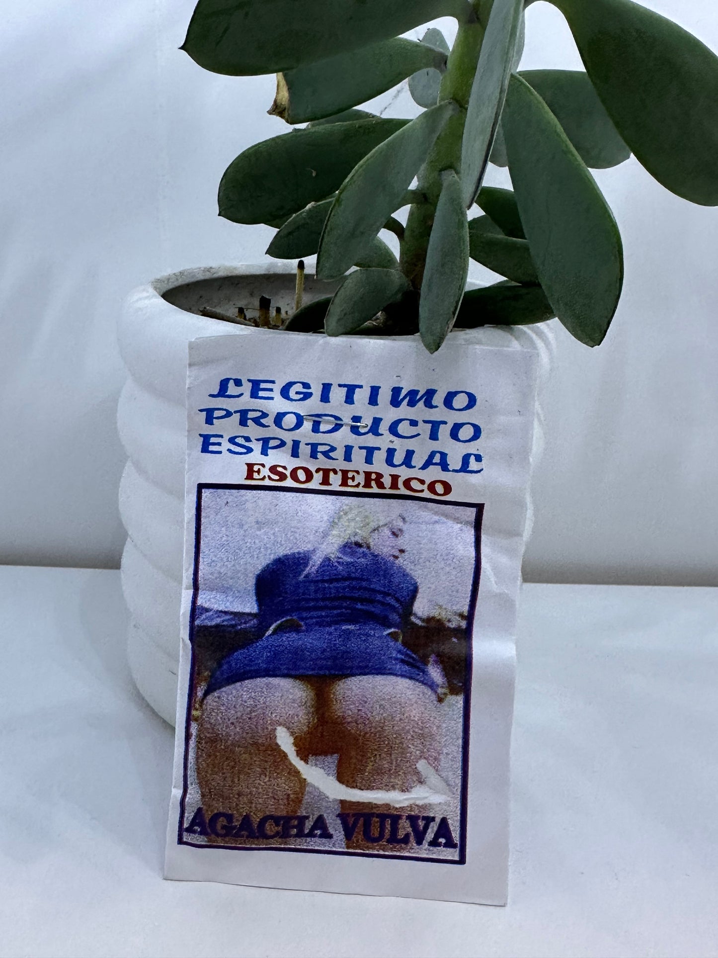 Polvo Agacha mujer