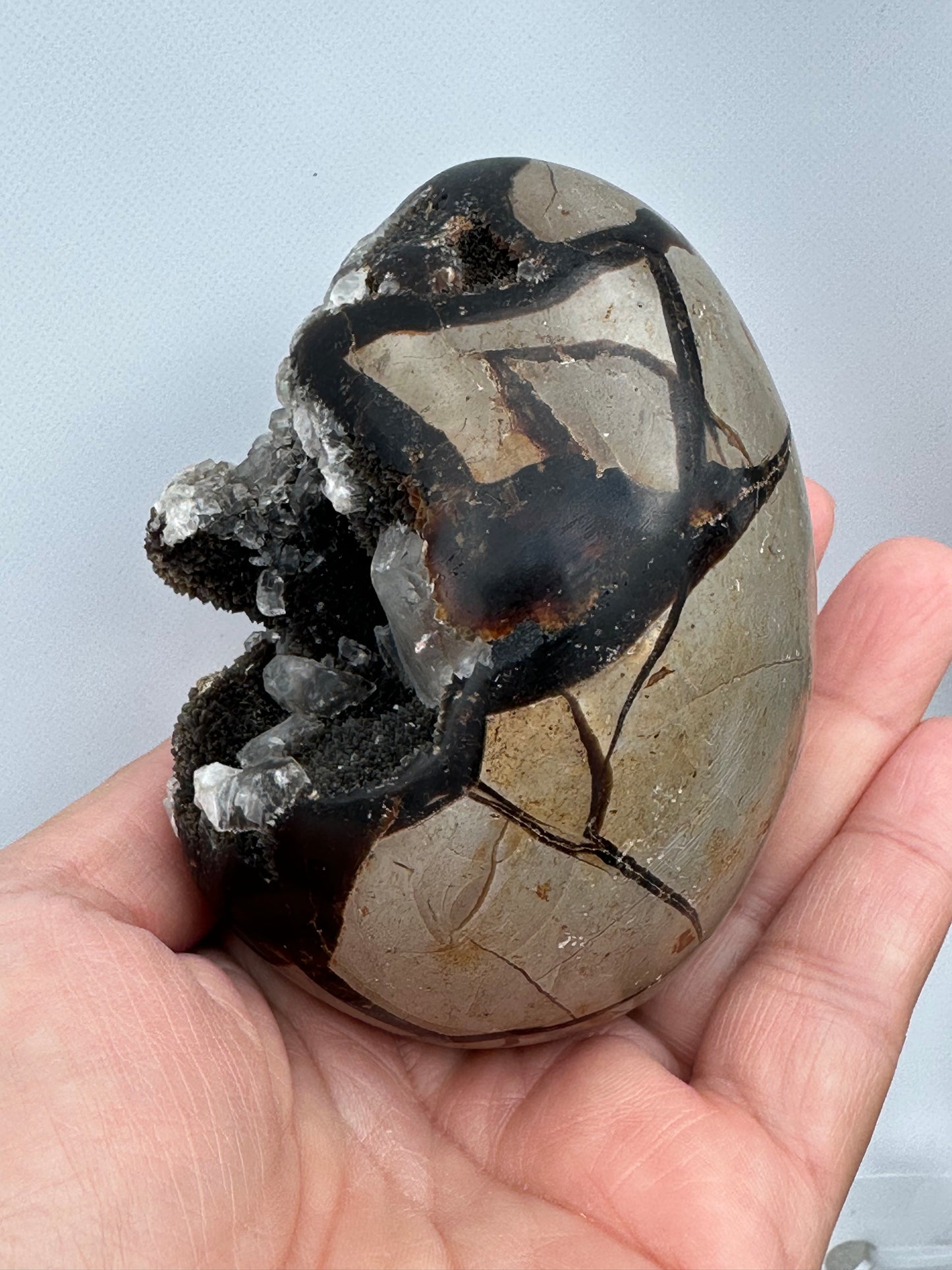 Septarian con incluisiones Cuarzo cristal