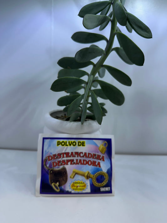 Polvo Destrancadera