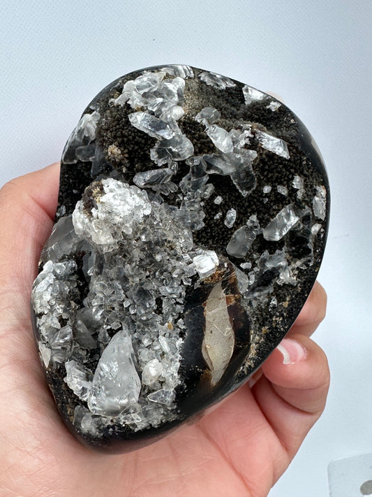 Septarian con incluisiones Cuarzo cristal