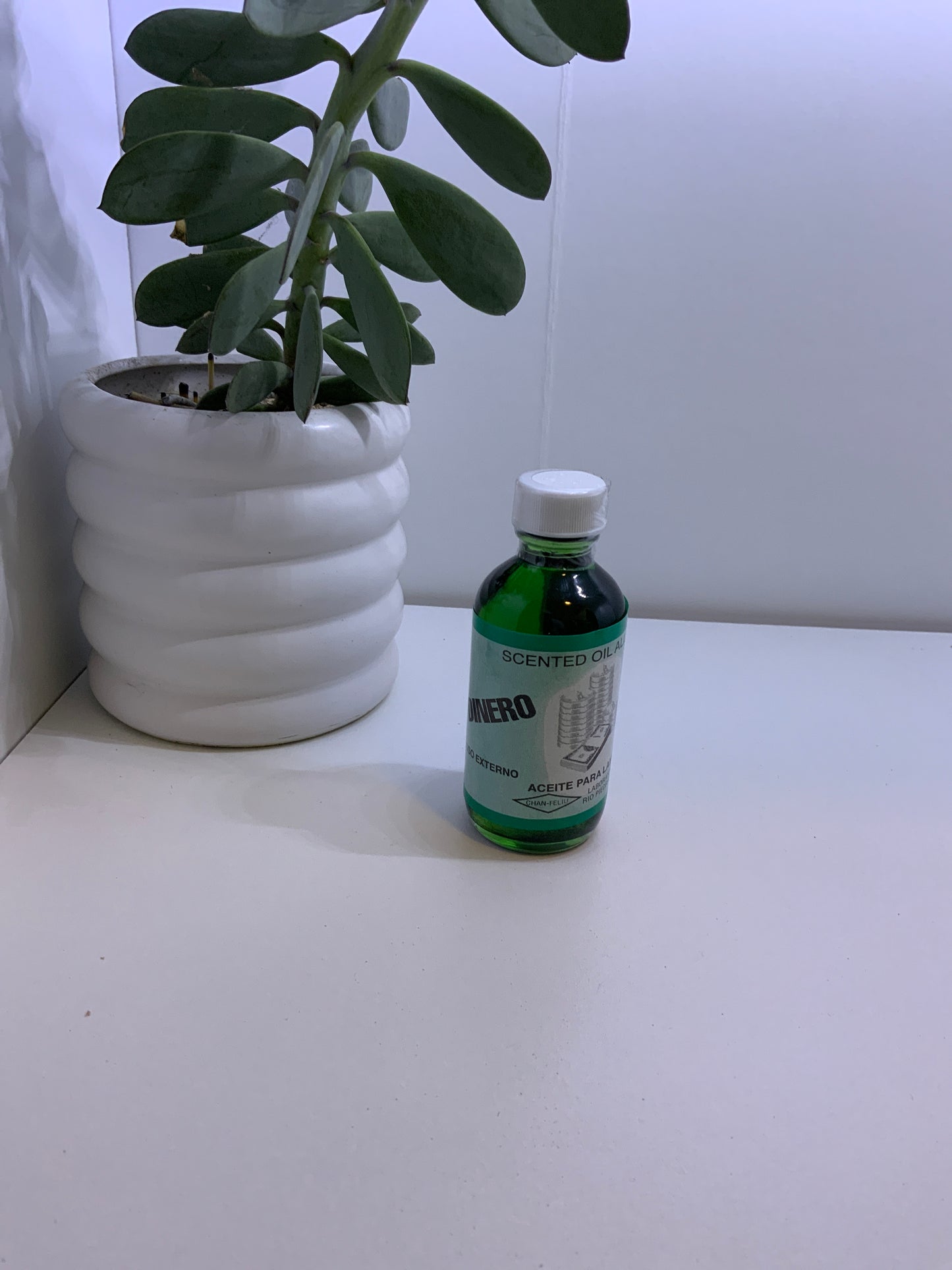 Aceite Lámpara Dinero