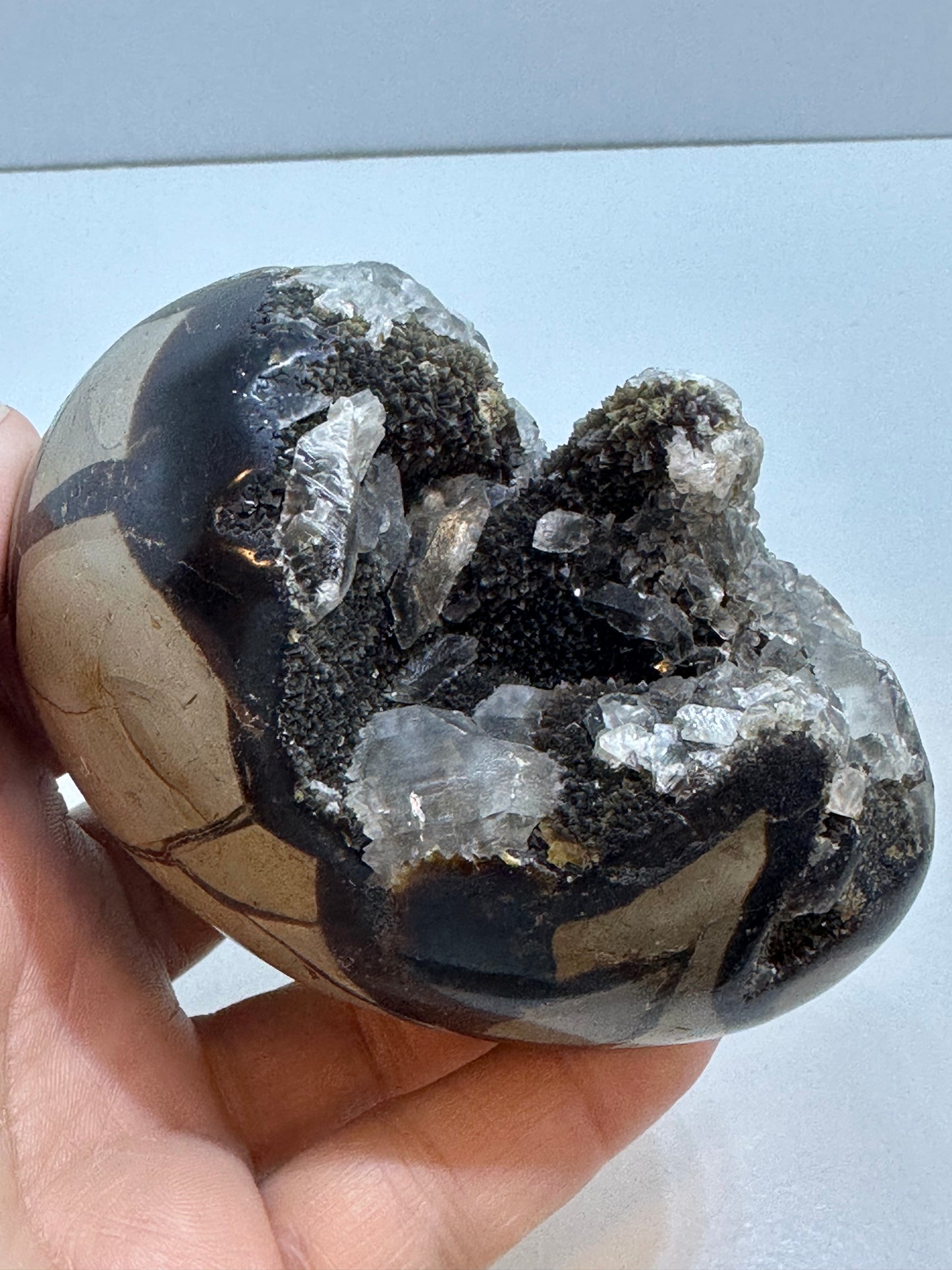 Septarian con incluisiones Cuarzo cristal