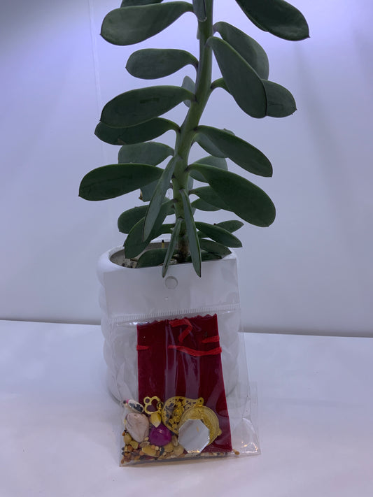 Amuleto Abundancia y protección