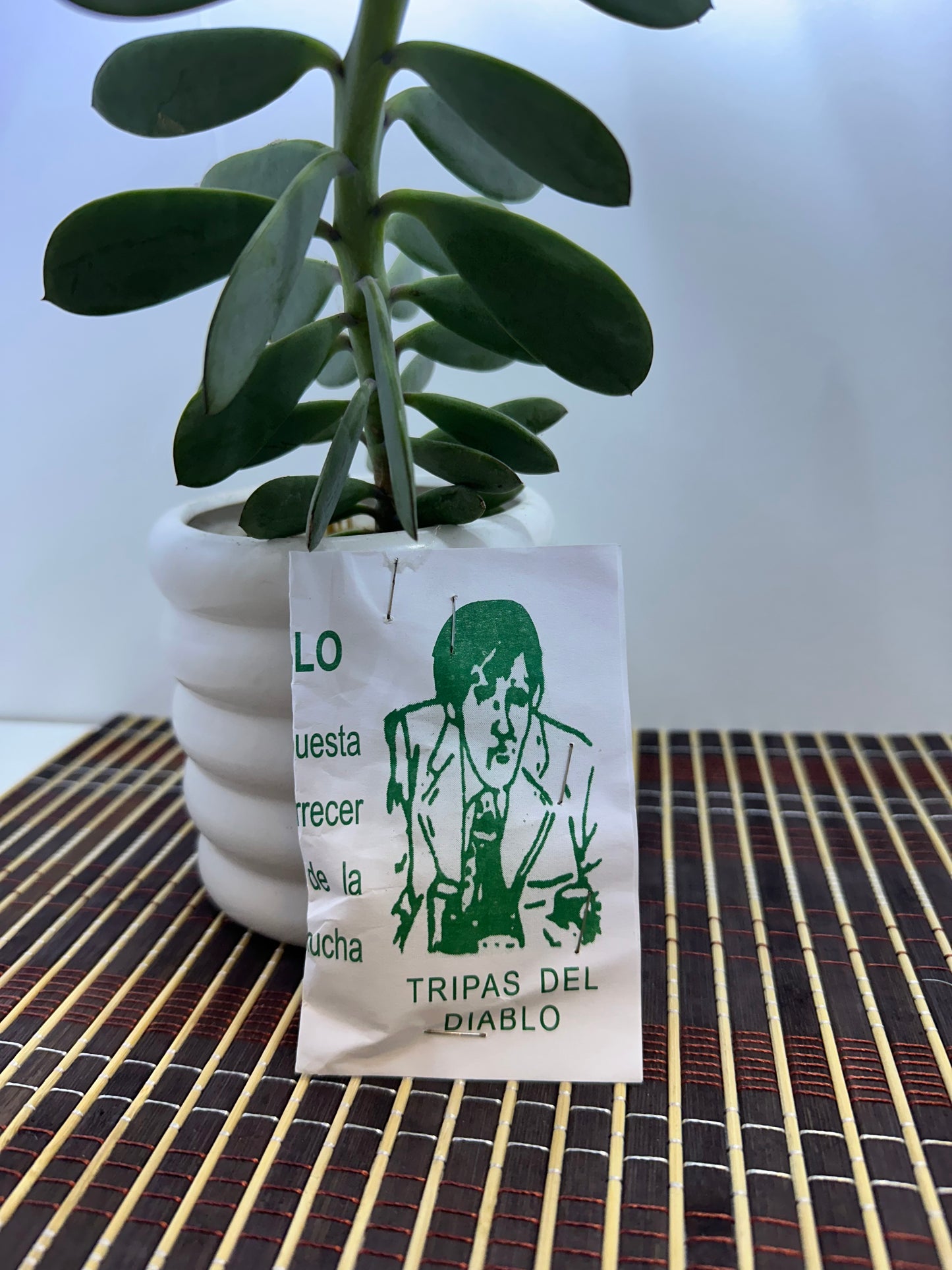 Polvo Tripas de Diablo