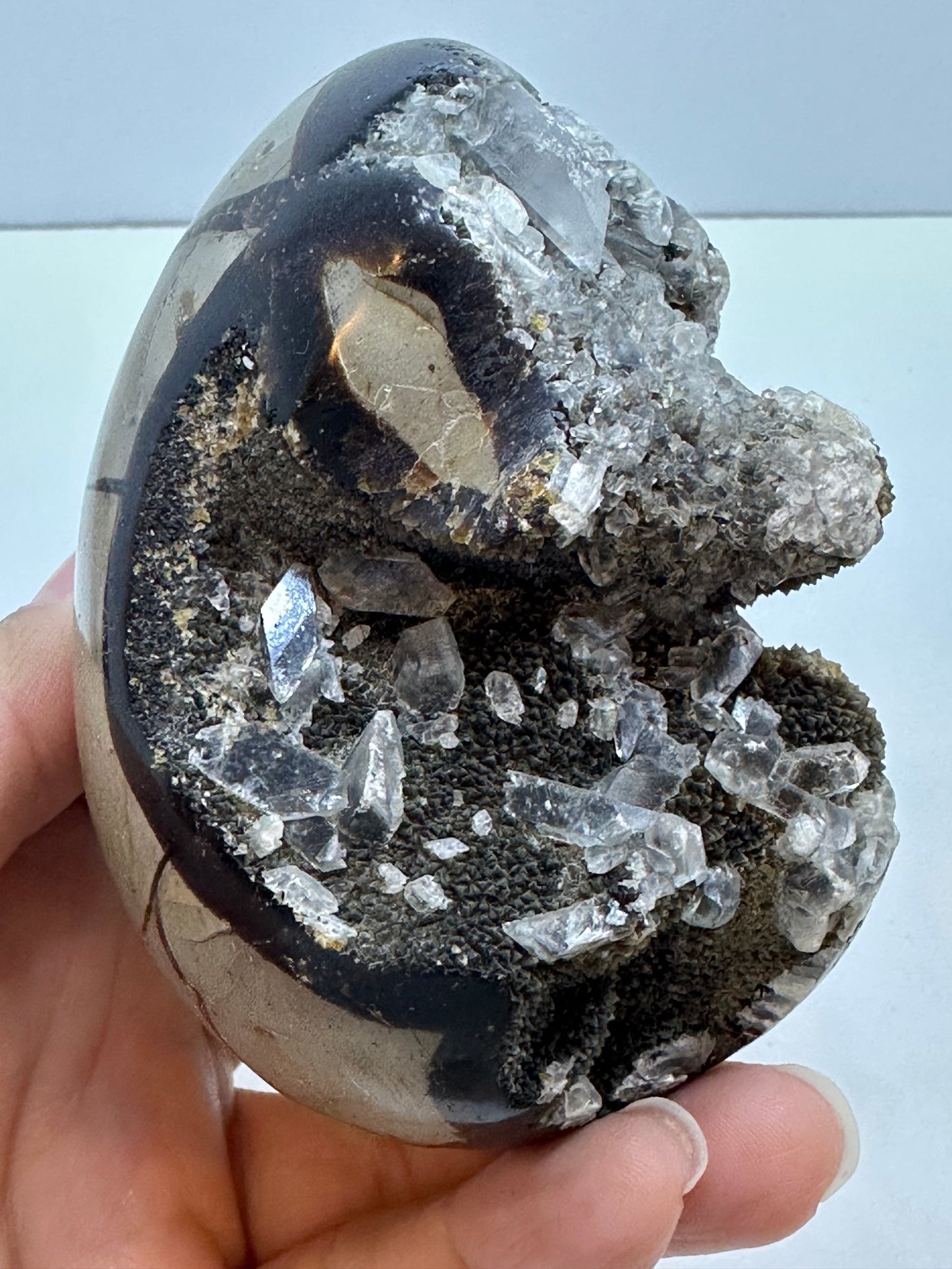 Septarian con incluisiones Cuarzo cristal