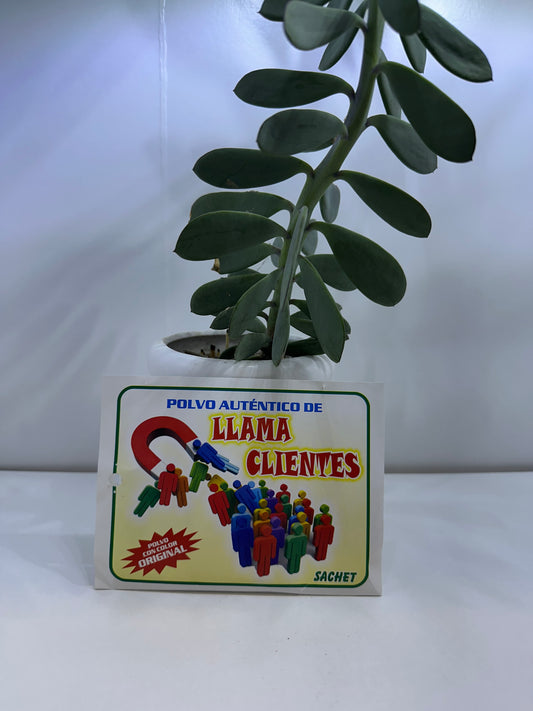 Polvo Llama Clientes