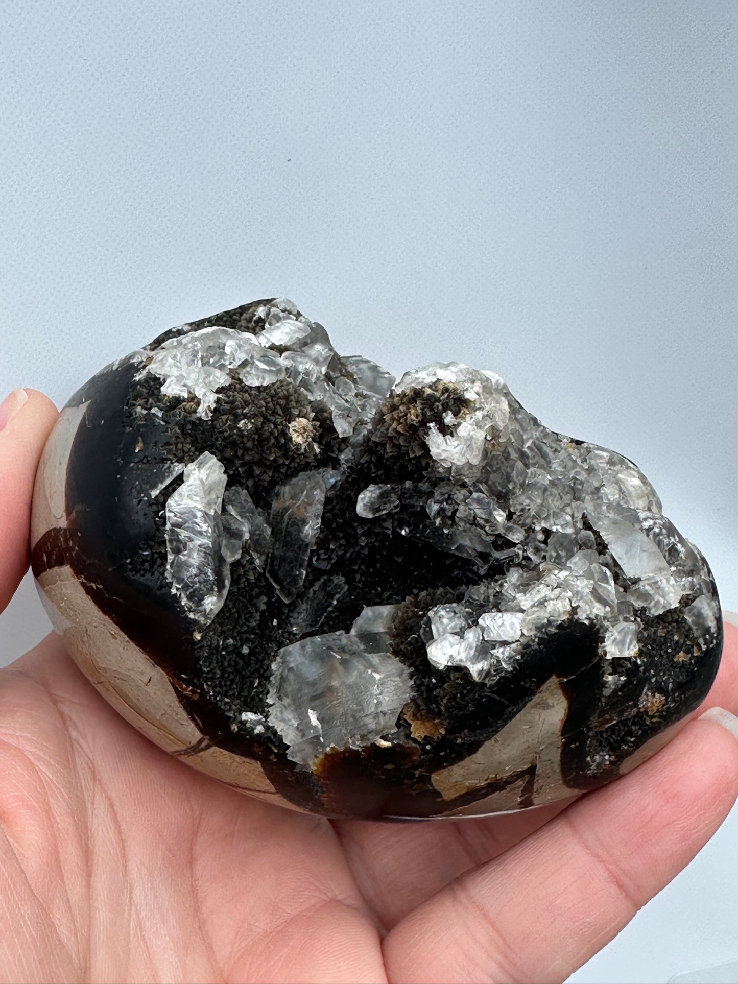 Septarian con incluisiones Cuarzo cristal